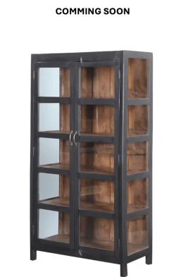 Vitrineskab TT179 92x46x174 cm